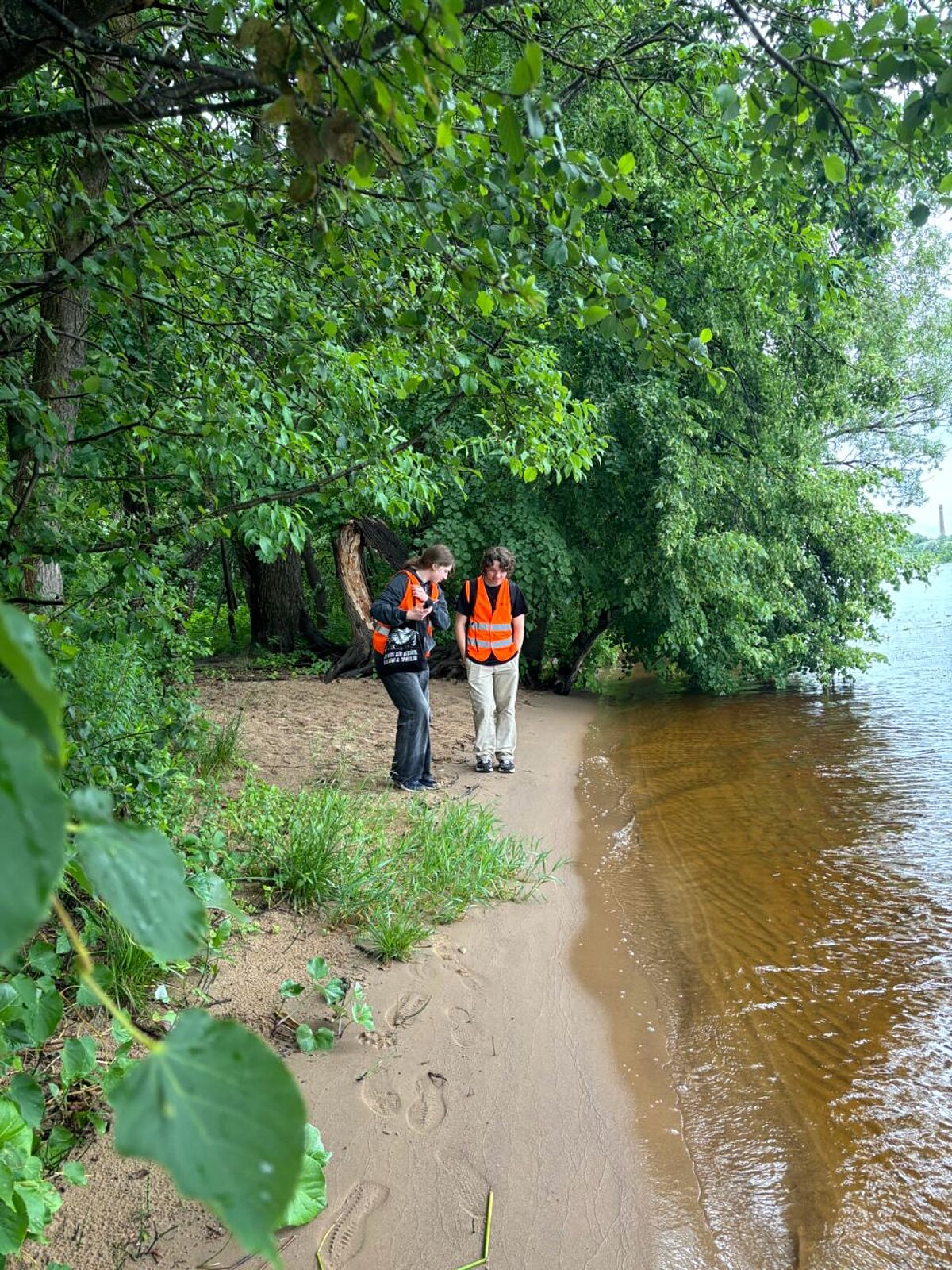 Attēlā ūdensmala. Pie tās stāv divi studenti oranžās vestēs. Attēla malās koki, krūmi un citi augi. Attēlā ūdensmala. Pie tās stāv divi studenti oranžās vestēs. Attēla malās koki, krūmi un citi augi.